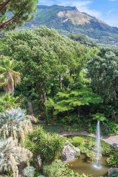 Giardini La Mortella